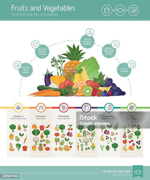 Fruits And Vegetables Nutrients And Benefits Stock Illustration - Download Image Now - Dietary Fiber, Food, Infographic