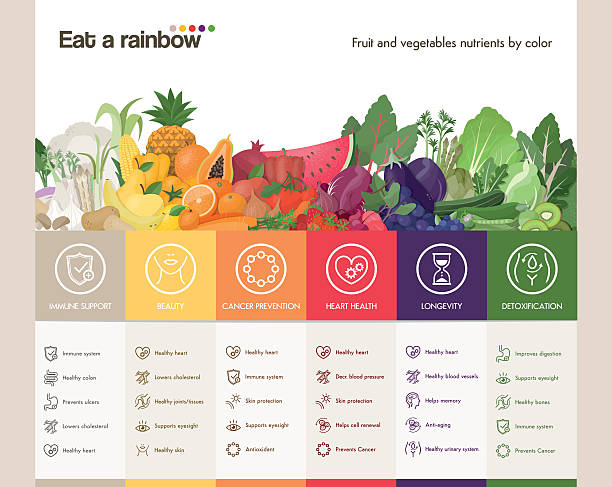 ilustraciones, imágenes clip art, dibujos animados e iconos de stock de coma un rainbow - antioxidant