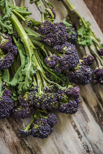 istock Purple broccoli  on wooden board 531560402