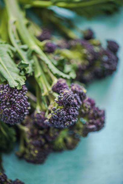 istock Purple broccoli flowers, clean eating 531560464