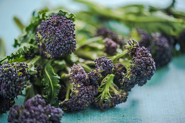istock Purple broccoli flowers, clean eating 531562090