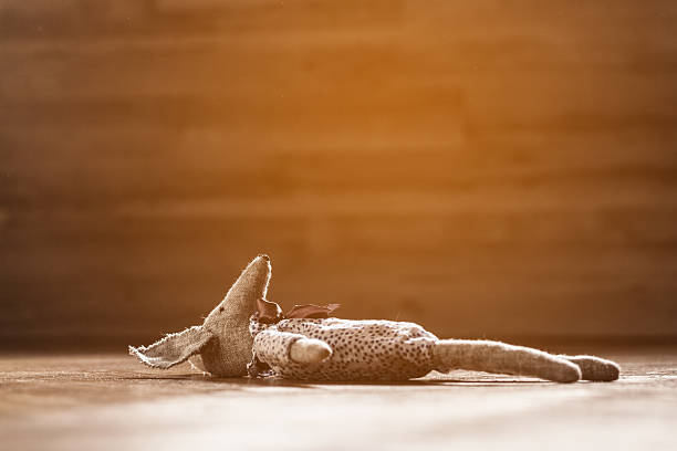 Vintage toy lying down on wooden floor.