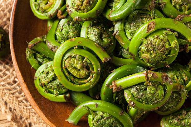 istock Raw Organic Green Fiddlehead Ferns 531563764