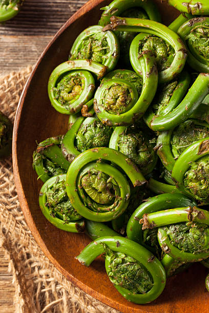 istock Raw Organic Green Fiddlehead Ferns 531563786