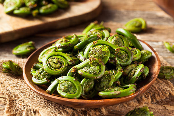 Raw Organic Green Fiddlehead Ferns Raw Organic Green Fiddlehead Ferns Ready for Cooking fiddle head stock pictures, royalty-free photos & images