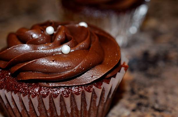 Rich dark chocolate cupcake stock photo