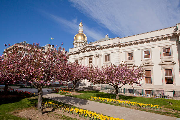 new jersey budynek kapitolu stanowego w trenton - new jersey trenton new jersey state capitol building government zdjęcia i obrazy z banku zdjęć