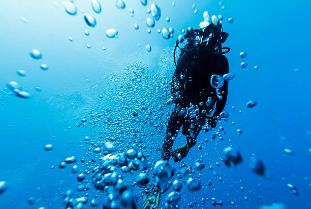 Diver Between Bubbles into the Depths in Bora Bora