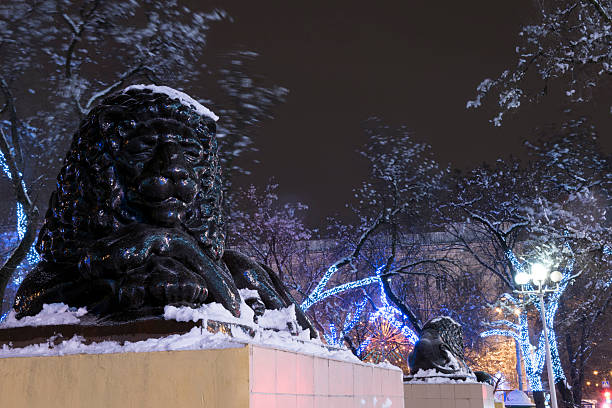 istock Dormant black lion New Year's Eve 531571001