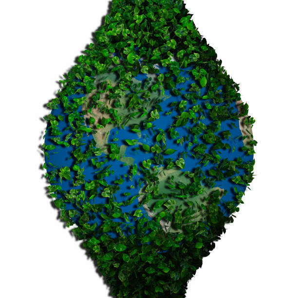 istock Planet earth covered with the leaves. Eco globe. 531572769