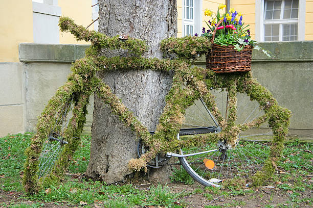 старый разросшийся mossy велосипед - bicycle wall green single object стоковые фото и изображения
