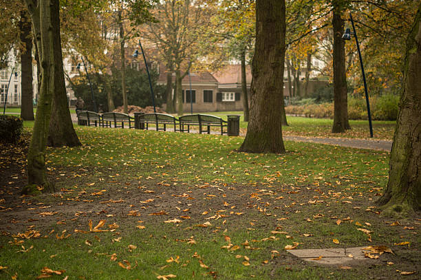 istock fallen leaves in the city park. 531580803