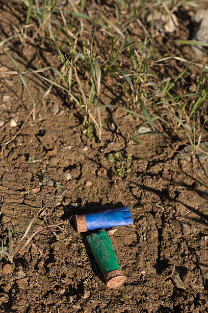 istock Rusty spent shotgun cartridges 531581661