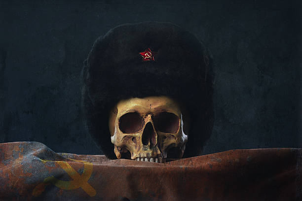 caveira com uschanka e a bandeira russa - flag russian flag russia dirty - fotografias e filmes do acervo