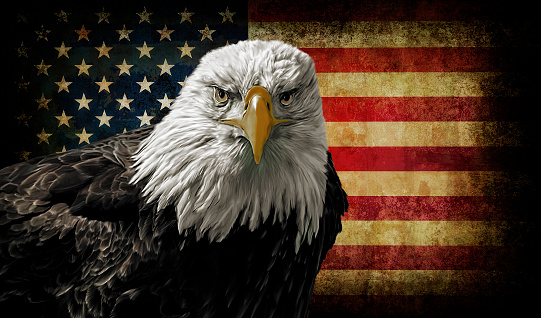 Oil painting of a majestic Bald Eagle against a photo of a battle distressed American Flag.