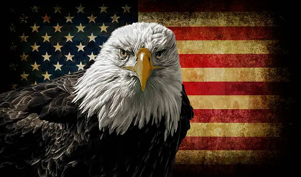 Photo of American Bald Eagle on Grunge Flag