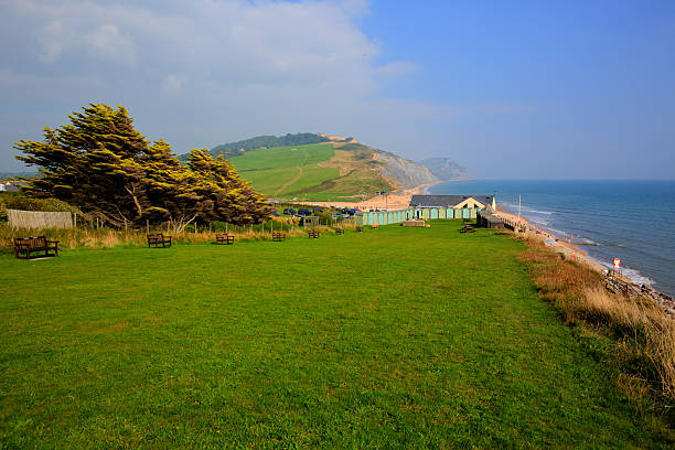 charmouth dorset england uk mit grünen feld hills und die küste - golden cap stock-fotos und bilder