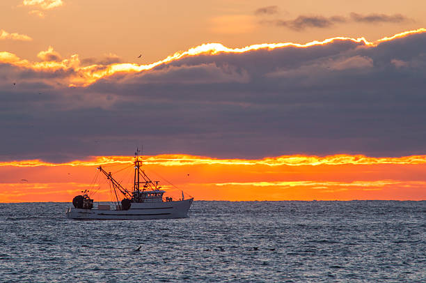 barco de pesca ao pôr do sol - barco de pesca de camarões imagens e fotografias de stock