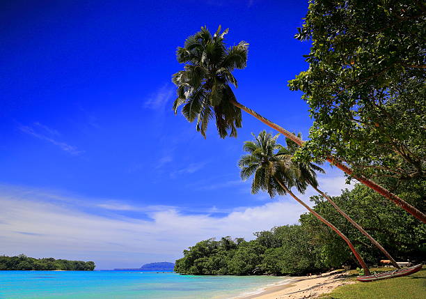 istock Awesome beach-Port Olry-Espiritu Santo 531600711
