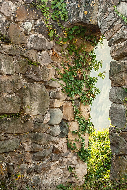 istock Ancient castle ruins up on the hills 531604134