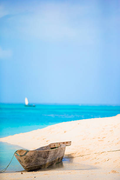 Kiwengwa beach,Zanzibar.