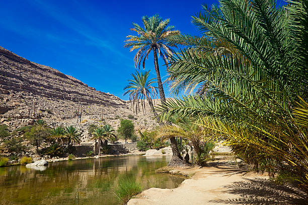 wadi bani халид оман - wadi bani khalid стоковые фото и изображения