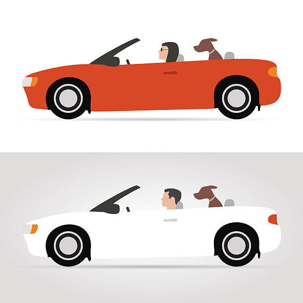 illustrazioni stock, clip art, cartoni animati e icone di tendenza di cane in cabriolet - dog car