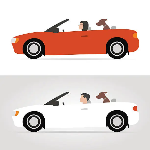 Vector illustration of Dog on cabriolet