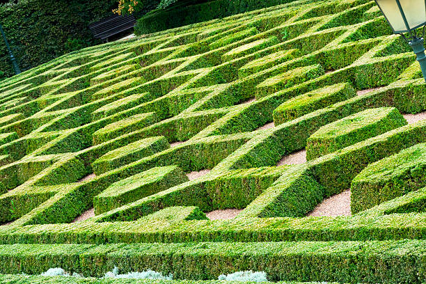 istock Hedges of park 531608737