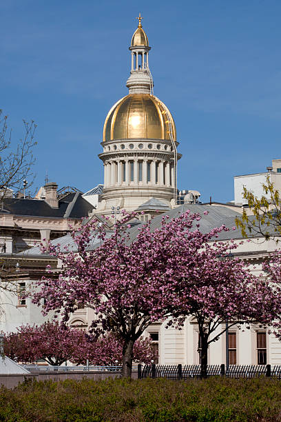 istock New Jersey State Capitol Building in Trenton 531609800