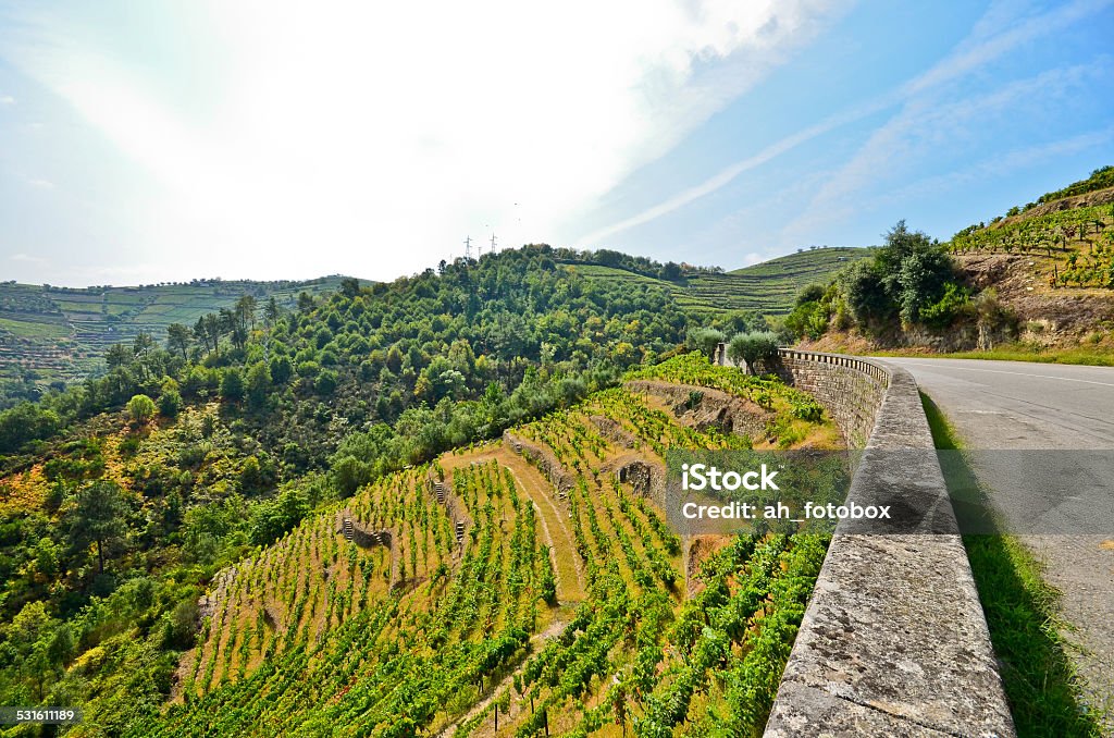 Douro Valley, Vineyards and road to Peso da Regua, Portugal Douro Valley - Vineyards and road to Peso da Regua, Portugal Portugal Stock Photo