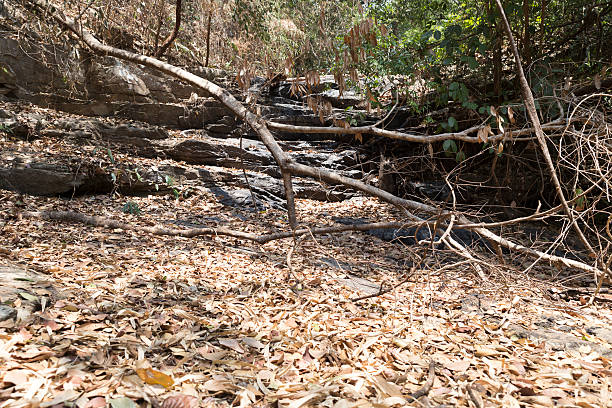 trail on cascade waterway on hill in forest in drought for hiking or trekking