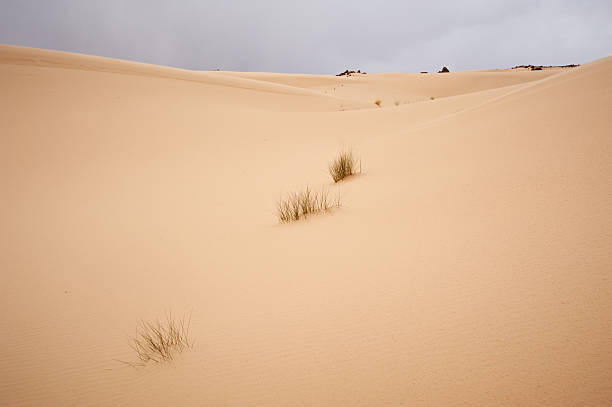 istock Sand dune in the Sinai desert 531612055