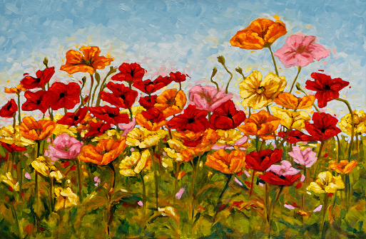 Field of brightly colored poppies. Original oil painting on canvas by Judi Parkinson.