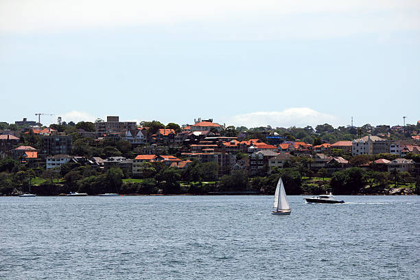 istock lavender bay of sydney 531612946
