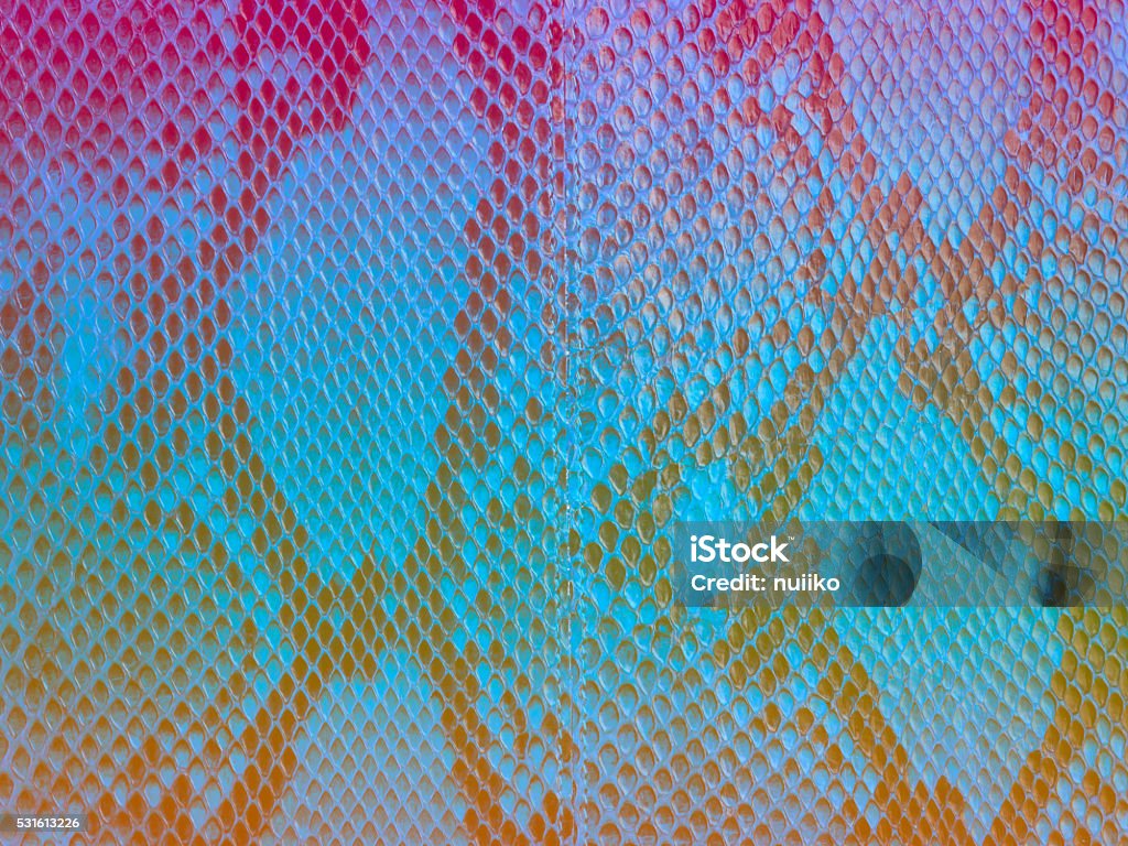 snake skin with the pattern Pattern Stock Photo