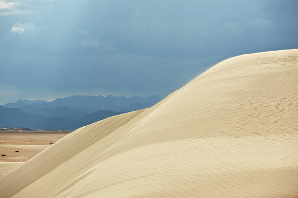 istock Sand dune in the Sinai desert 531614765