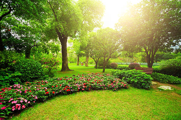 istock Green city park 531615872