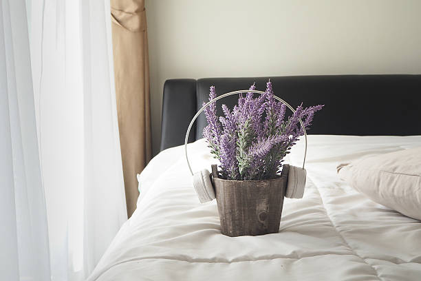 istock Purple Lavender flower. 531617446