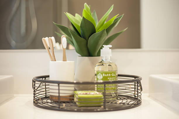 Toothbrush and Soap arranged near a plant for the bathroom