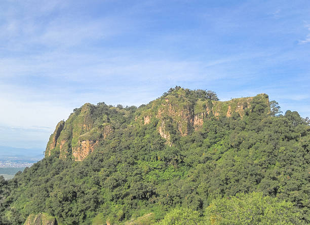 istock Forest near Tepoztlan in Mexico 531618678