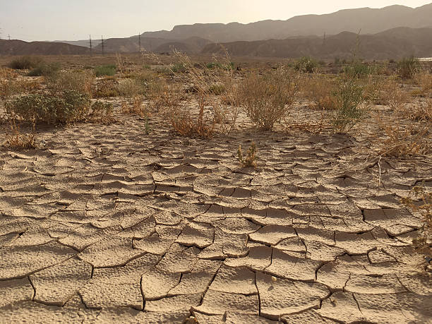 istock Desert dry cracked dirt earth sand background 531620062