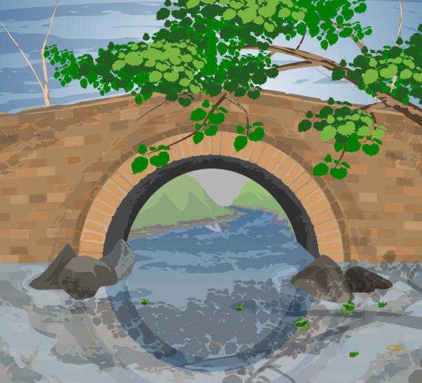 illustrazioni stock, clip art, cartoni animati e icone di tendenza di albero e arco ponti - bridge stone bridge vector arch bridge