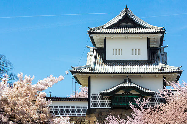 Kanazawa, Japan - April 5, 2016: Cherry blossoms surround restored Kanazawa Castle. Taken from the public road outside the castle, this shows the external wall of the castle and the restored watchtower. The castle was built in the 16th century and subsequently burned down; only the various gates and watchtowers have been rebuilt. People walk across the bridge towards the castle.