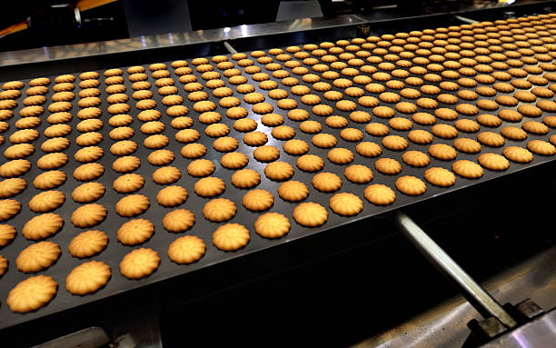 istock Cookies in Production Line 531622624