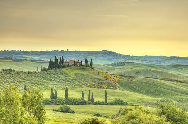 istock Beautiful Tuscany landscape in sunrise 531623052