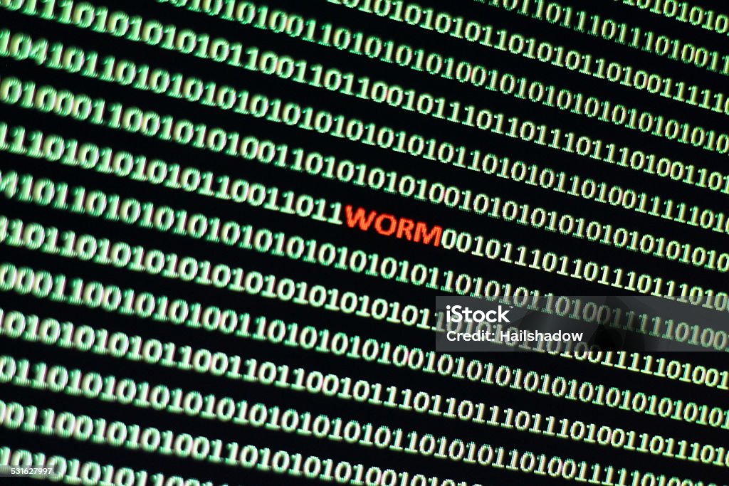 Worm in binary code Photograph depicts a worm in a string of binary code. 2015 Stock Photo