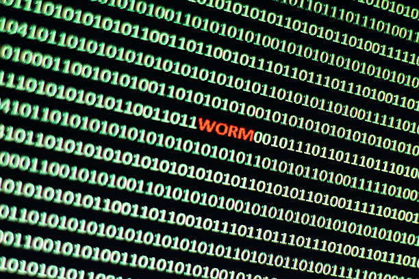 1,100+ Computer Worm Photos Stock Photos, Pictures & Royalty-Free ...