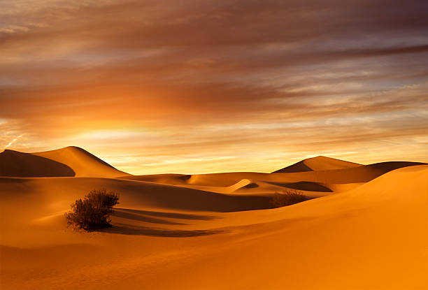 sunset-dünen - sahara desert stock-fotos und bilder