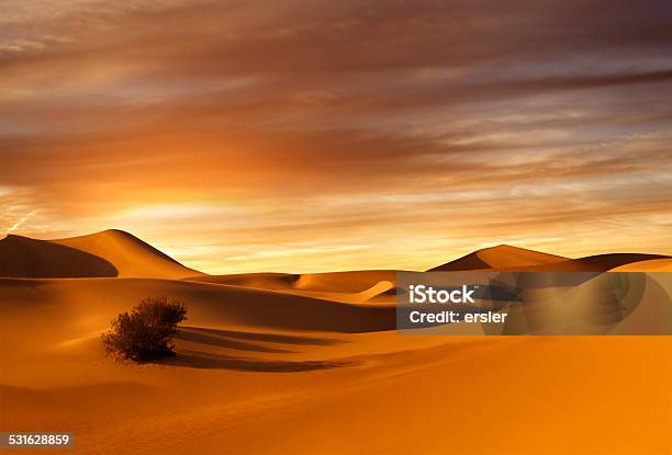 Sunset Dunes Stock Photo - Download Image Now - Desert Area, Sahara Desert, Sunset